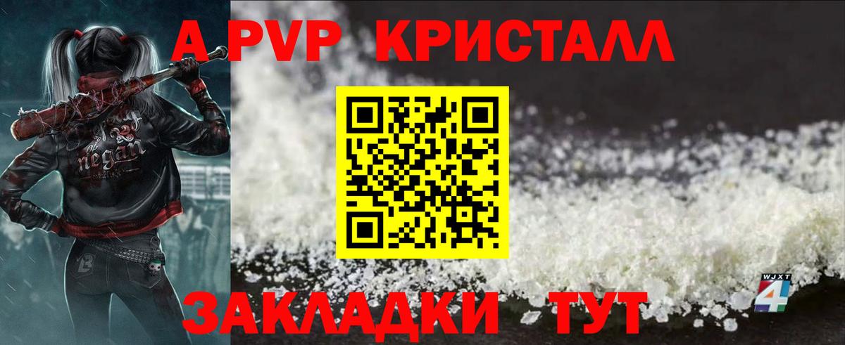 Alfa_PVP СК Дубна