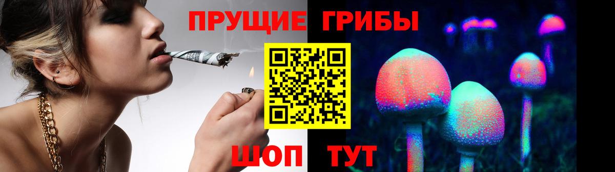 купить наркотик  Псилоцибиновые грибы мицелий  Вход с VPN  Псилоцибиновые грибы ЛСД  Дубна 