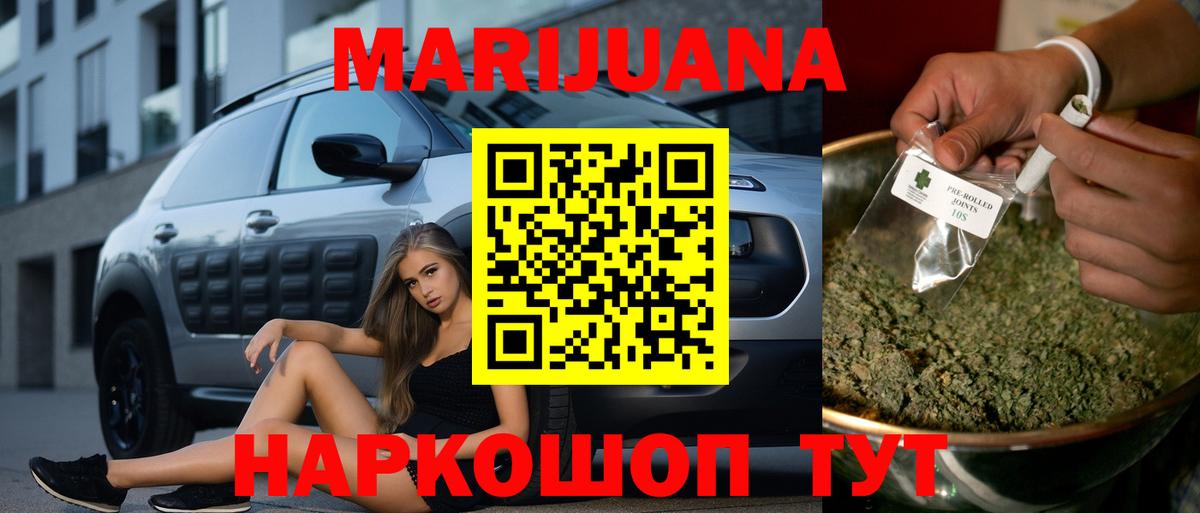 Конопля сатива Дубна